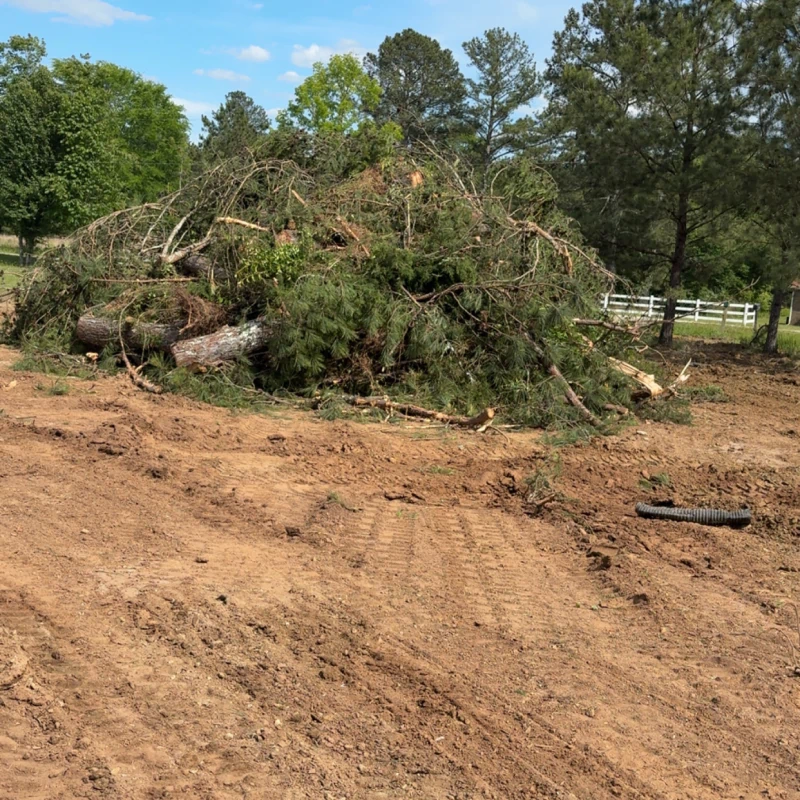 Frasier Site and Tree Solutions a