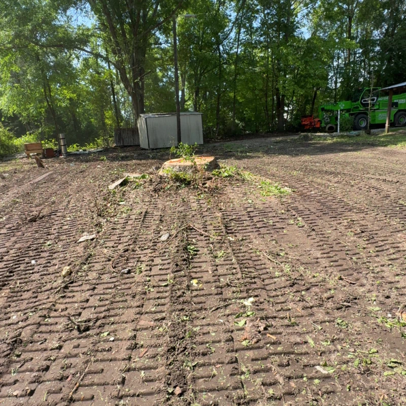 Frasier Site and Tree Solutions b