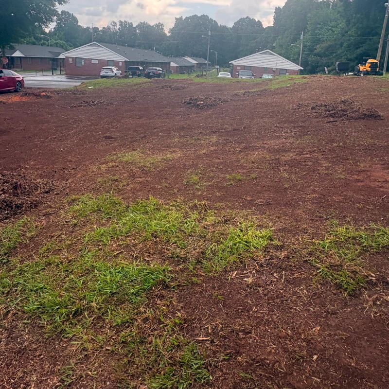 Land Clearing & Site Preparation